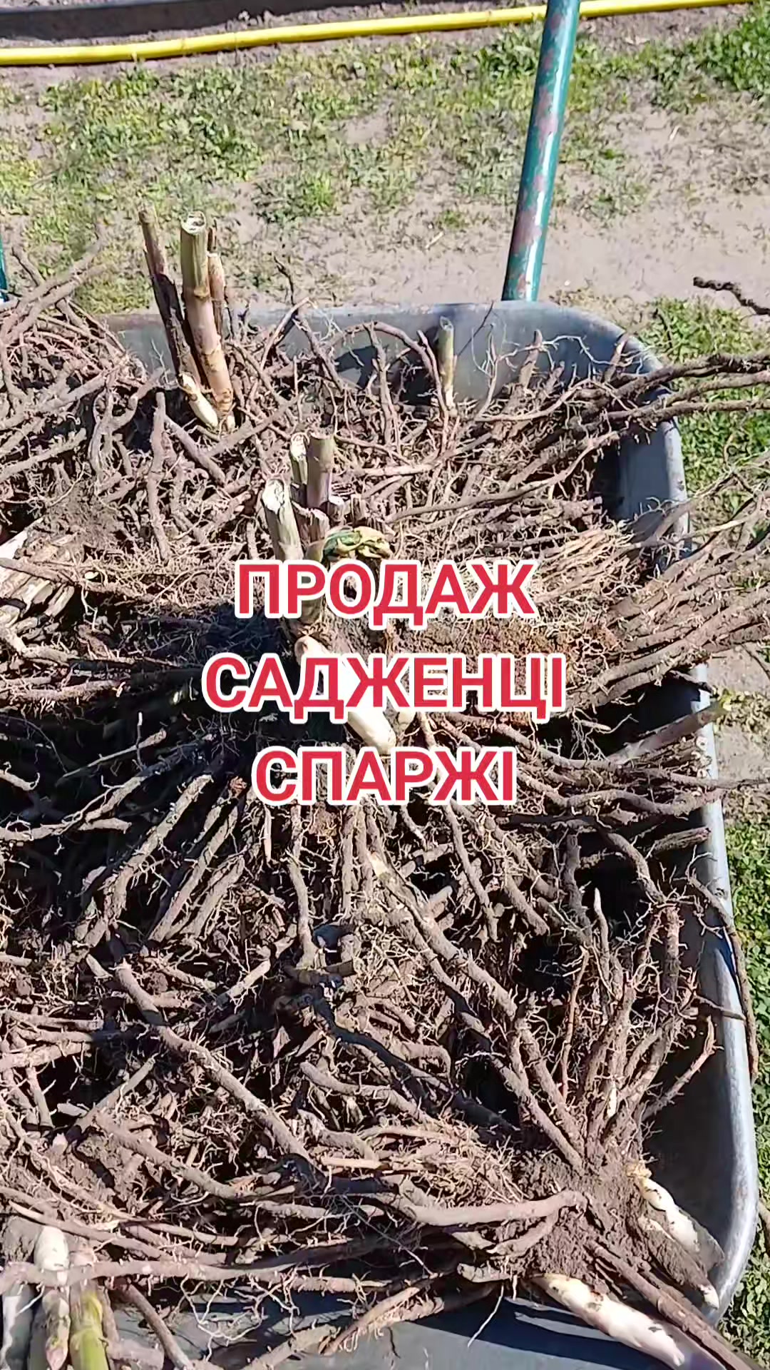 @🦋 Larisa_Fedorovna 💐