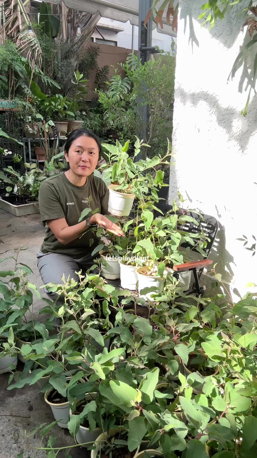 @Tú Nhi - Let's play plant