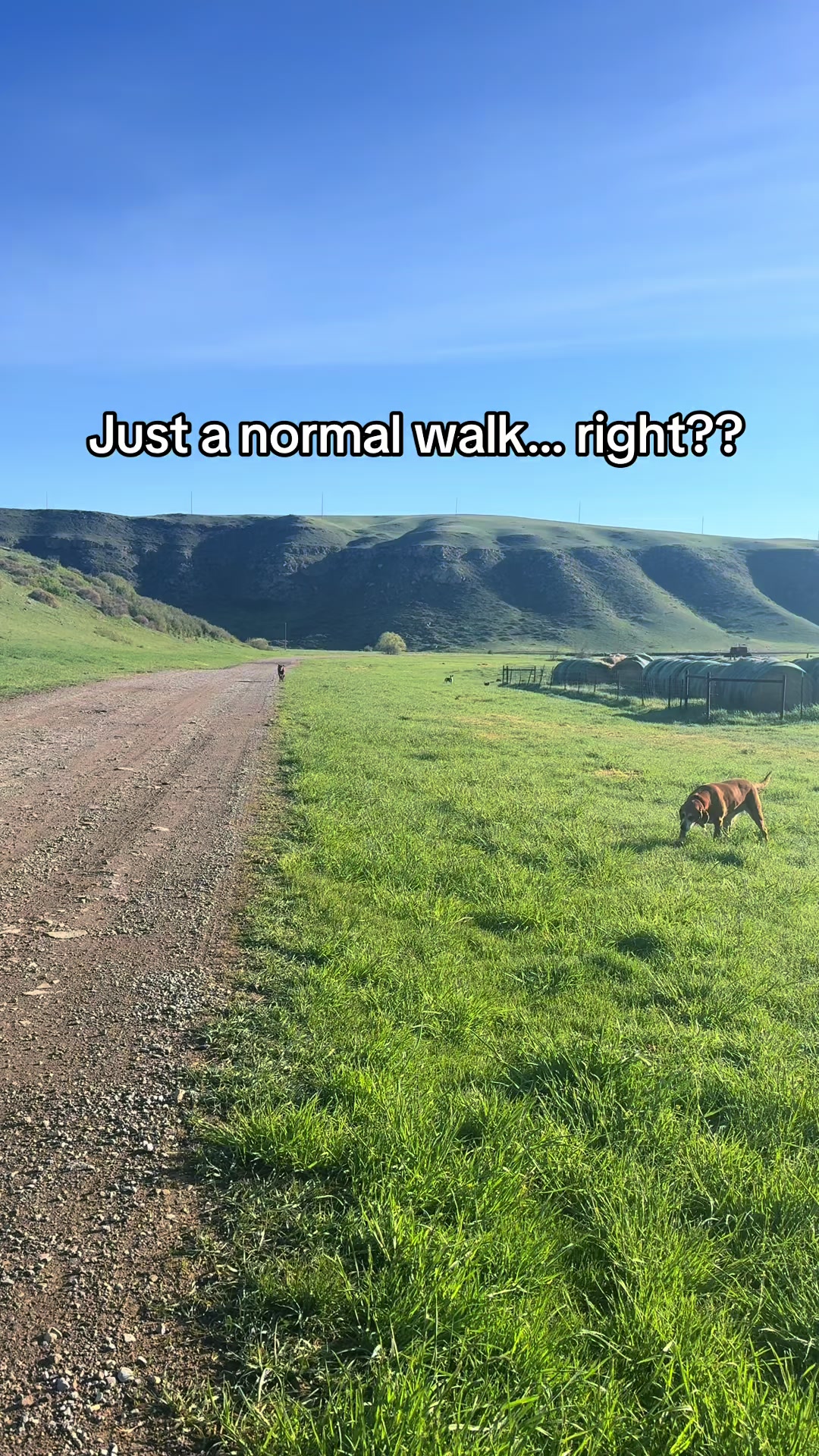 @HikingGal