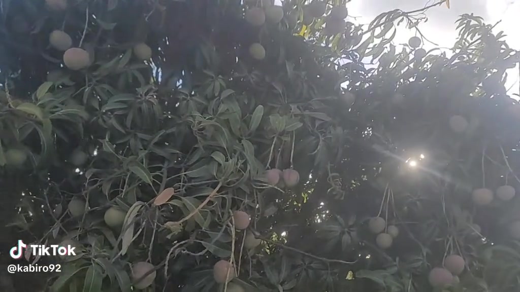 @arbaisalat3