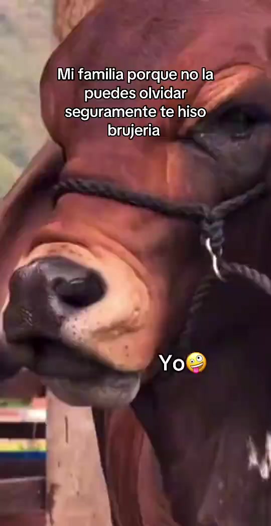 @Juan Carlos 🇵🇪