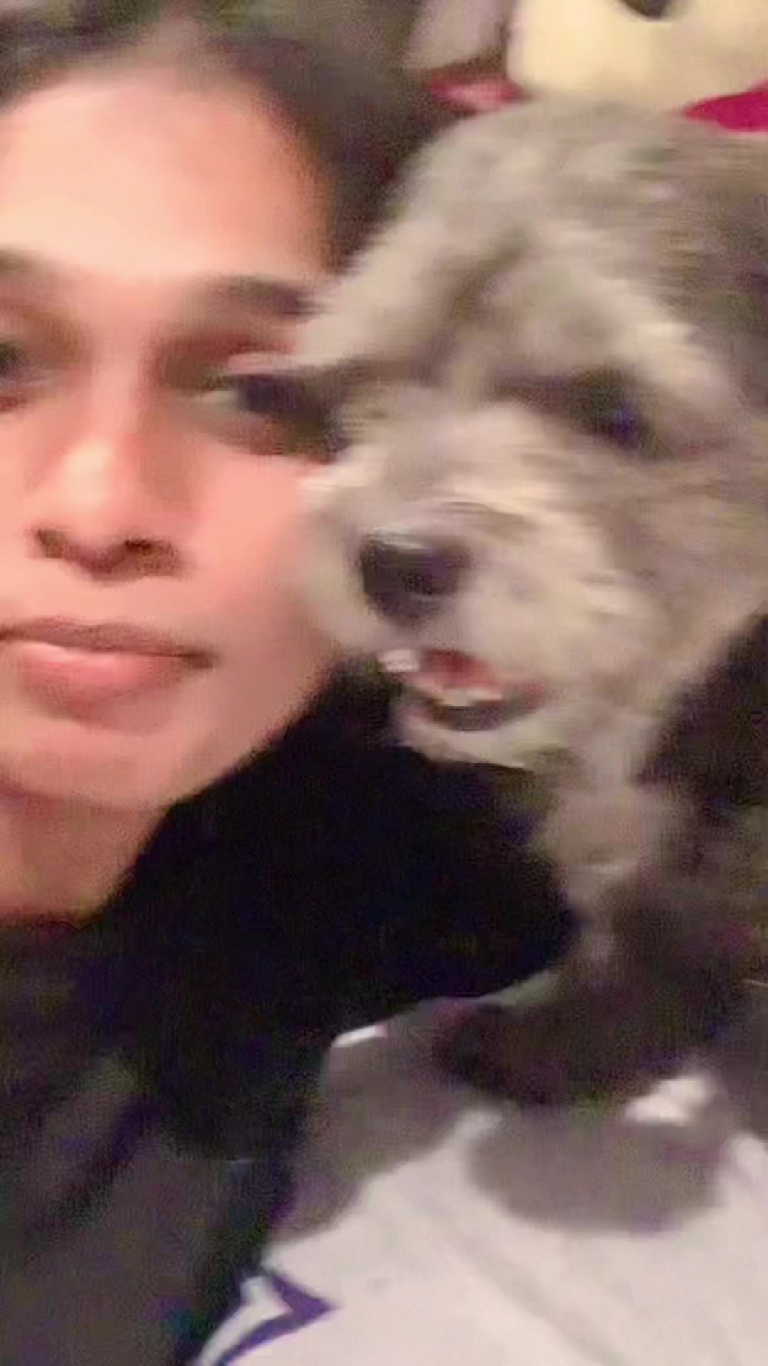@@డి ✨