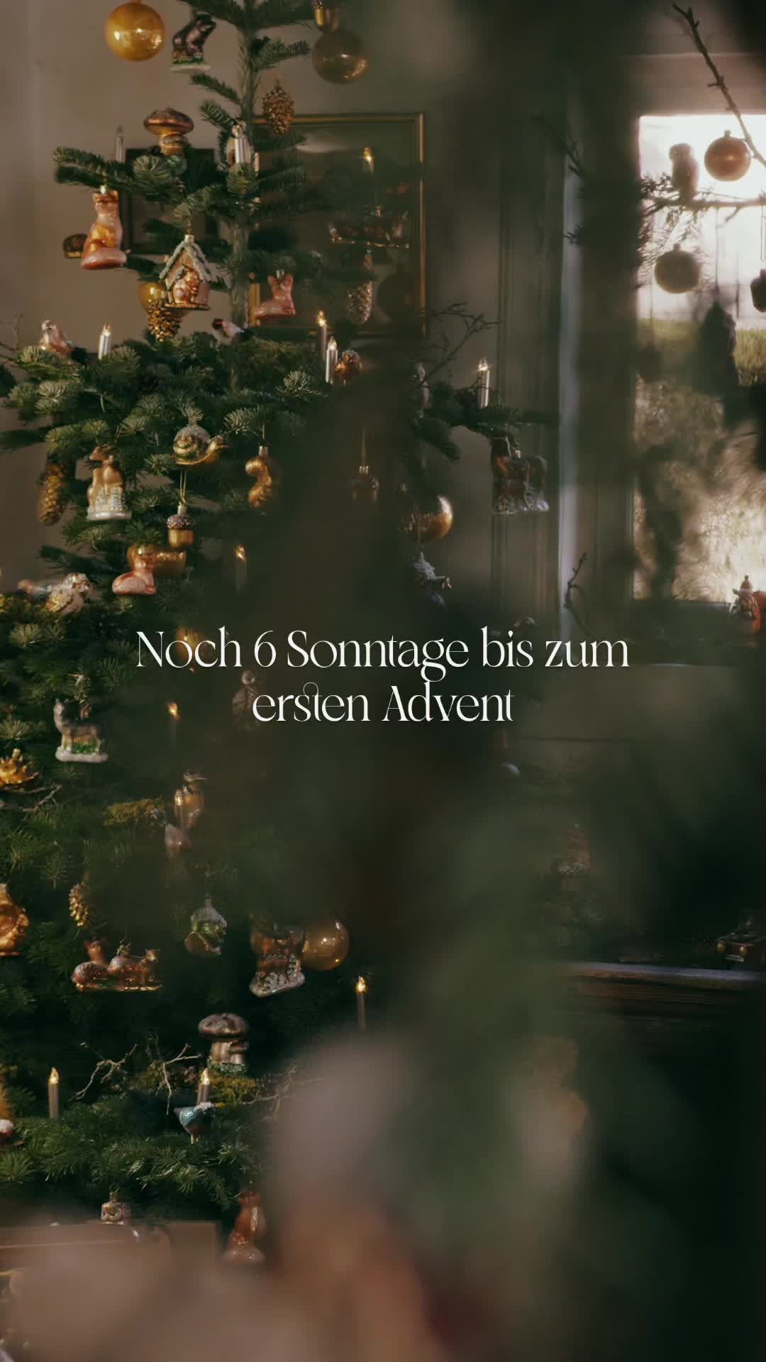 @Käthe Wohlfahrt