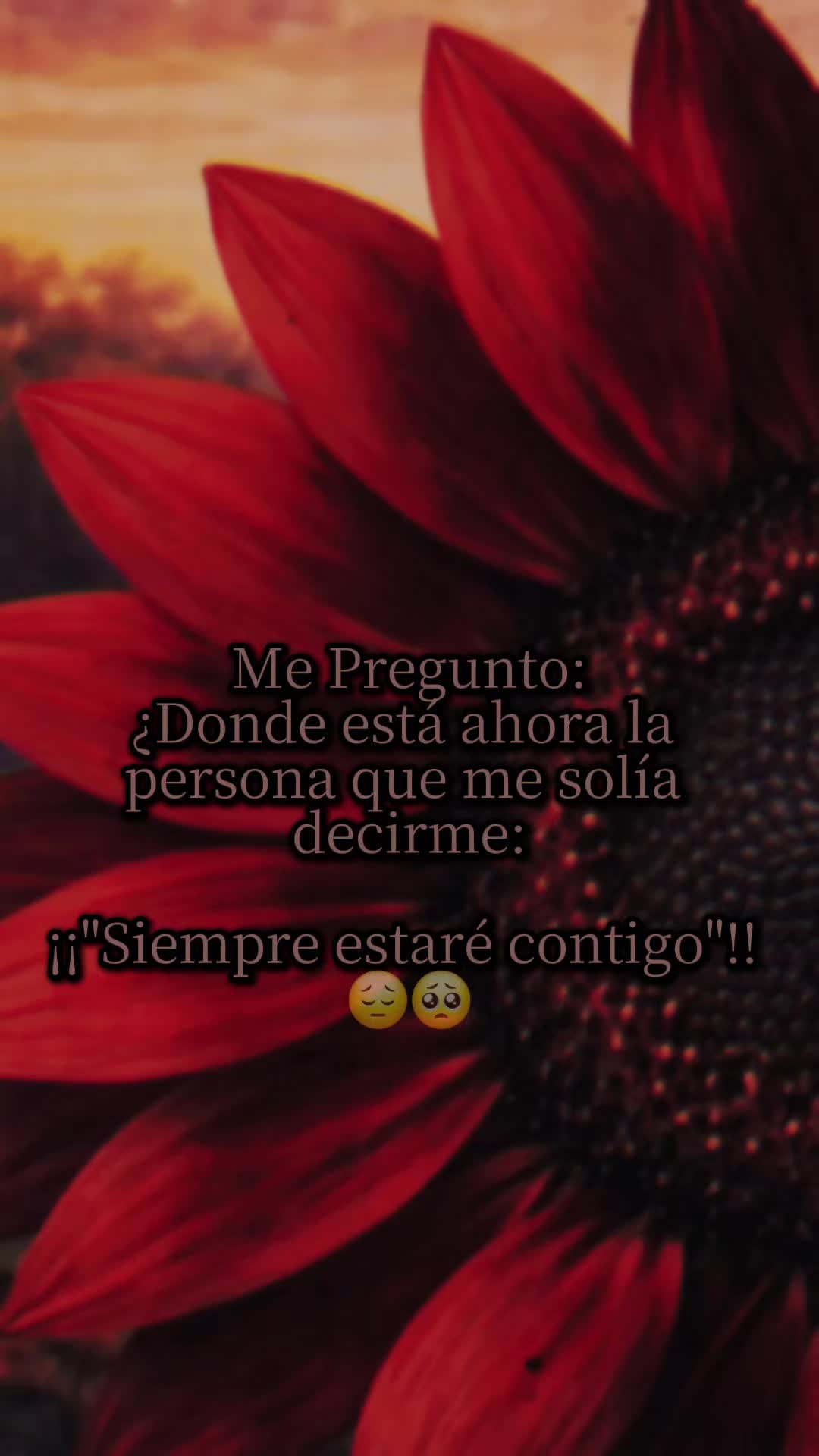 @Maribel 🌻