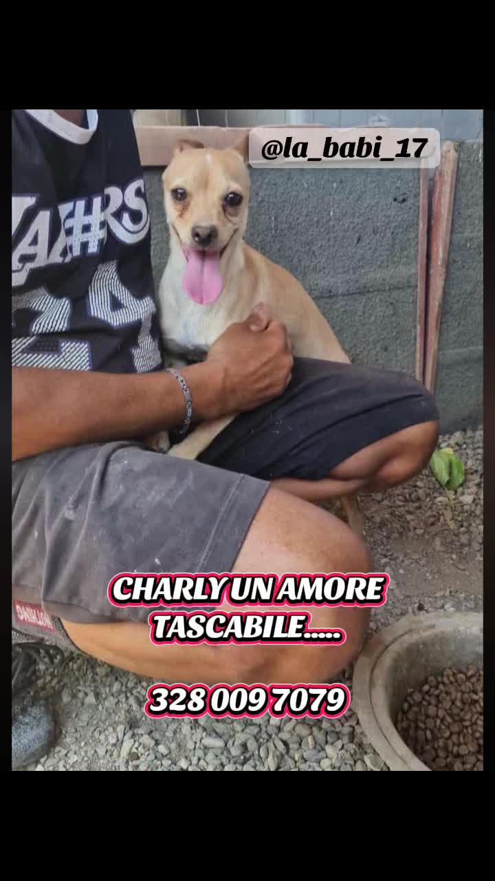 @la_babi_17