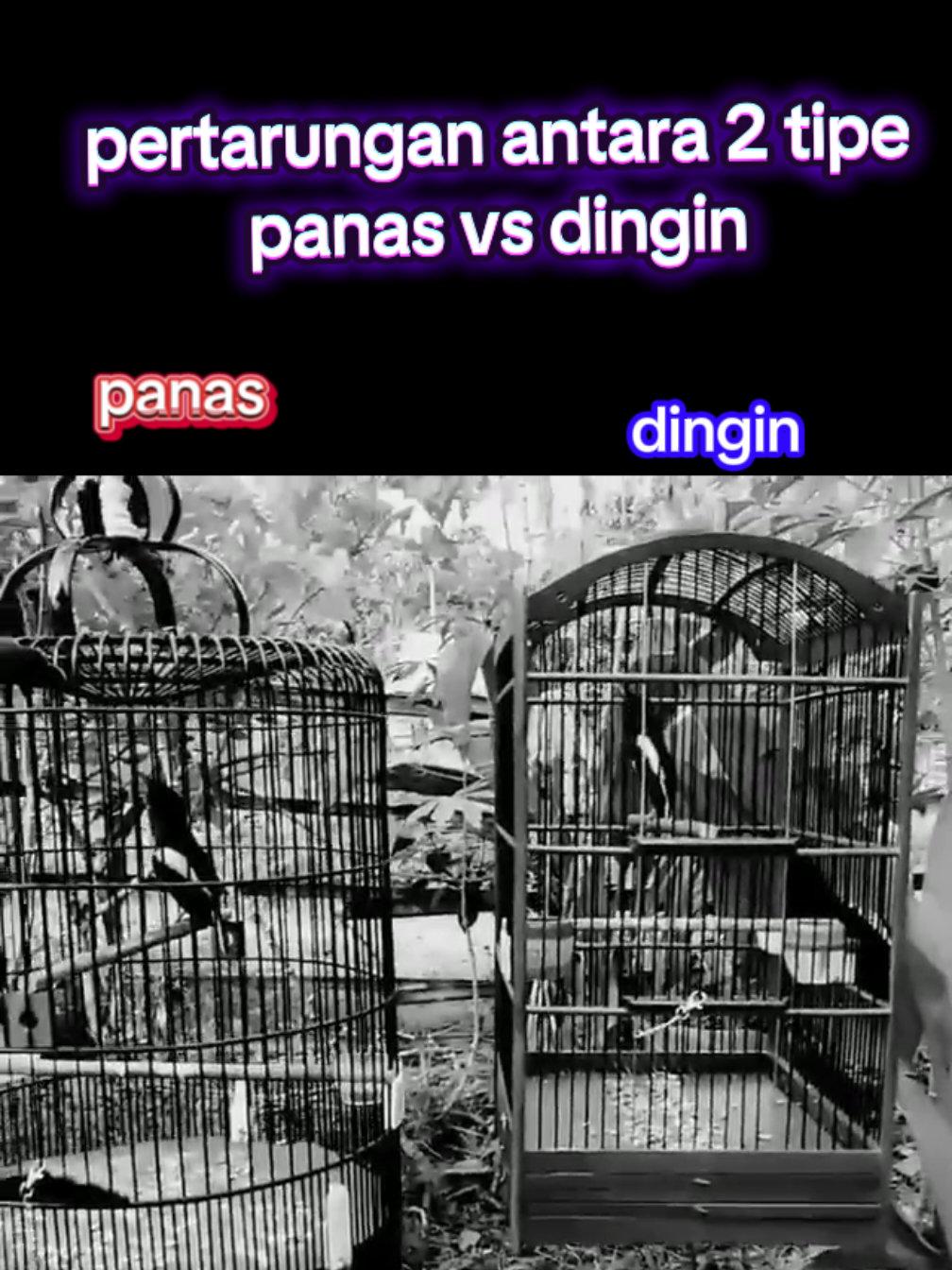 @dunia ternak