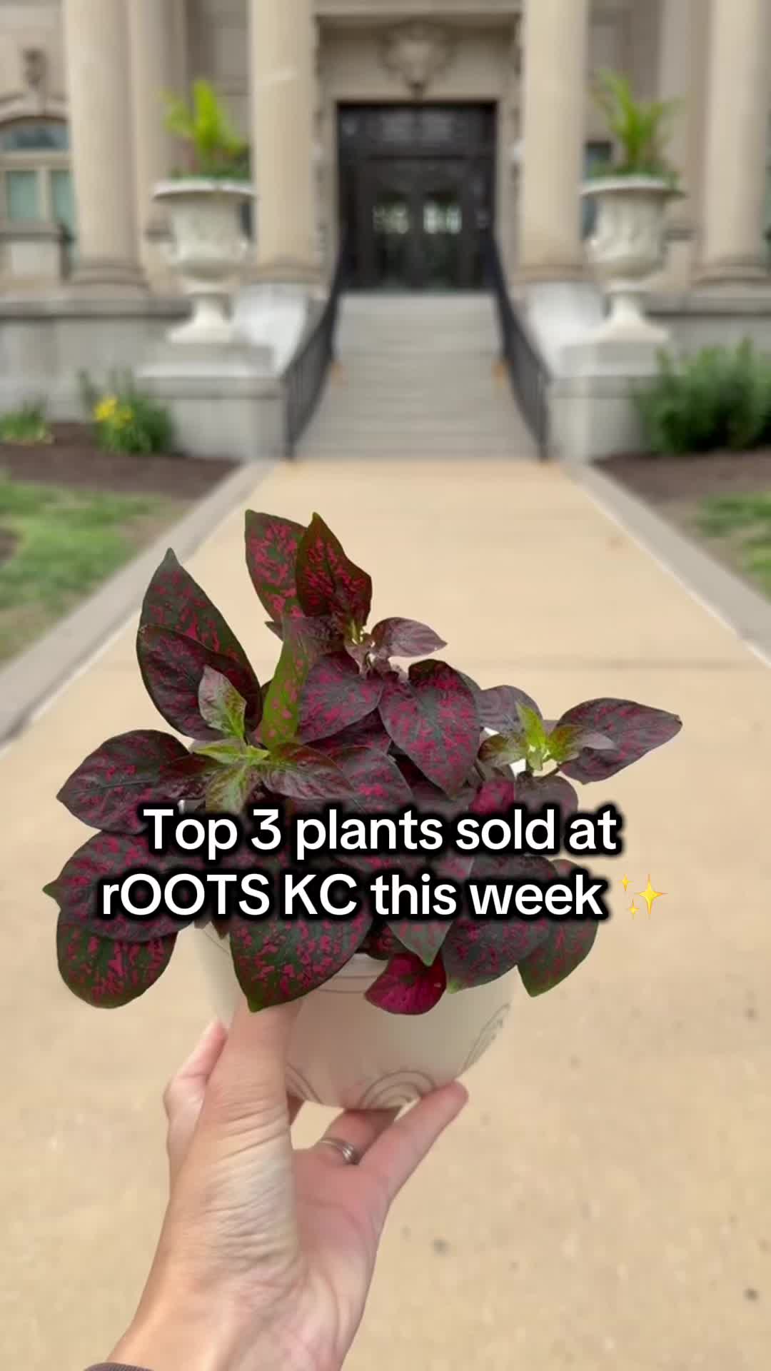 @Rootskc