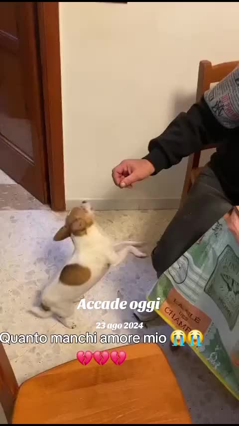 @Damiana Ancona