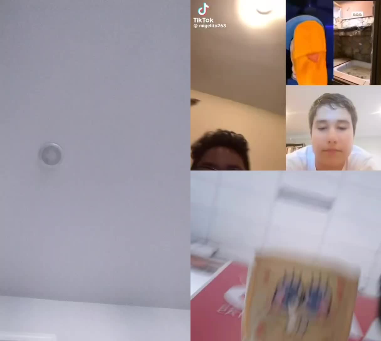 @Kermit The Frog Tiktok