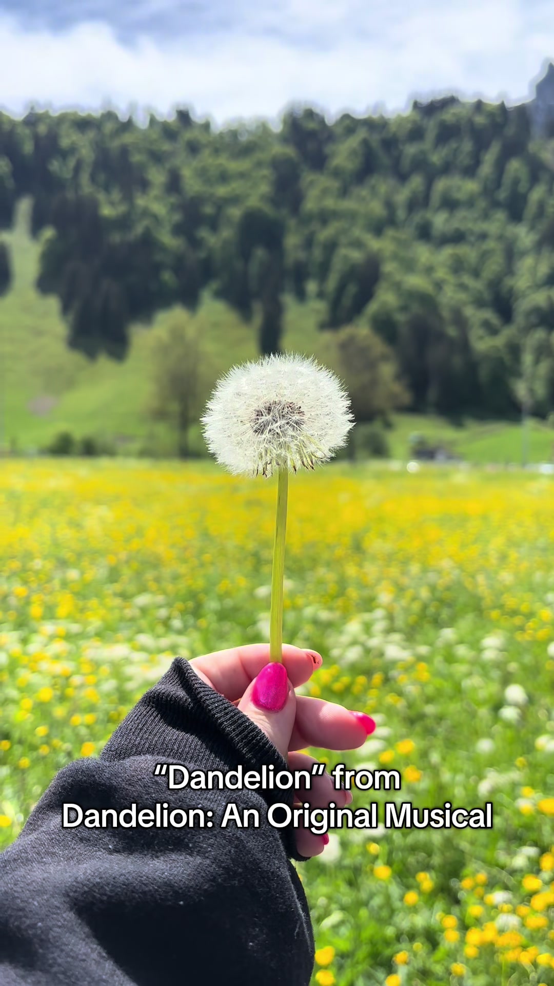 @Dandelion: An Original Musical