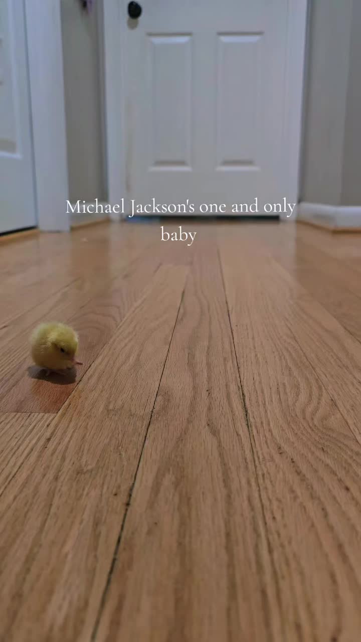 @ActiveMommy