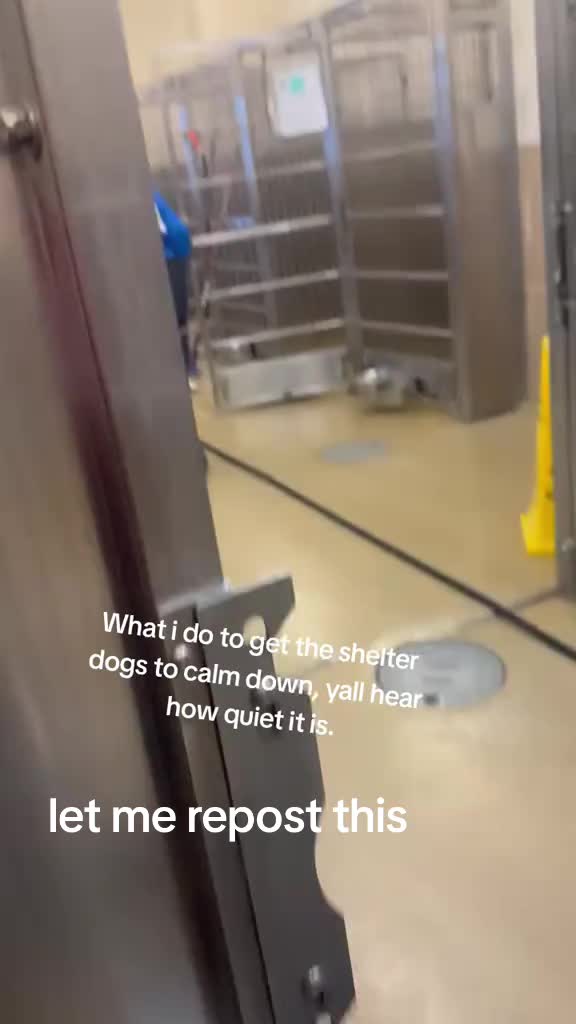 @Dirtyred957