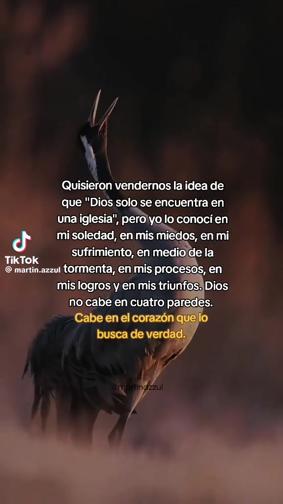 @gladisromero503
