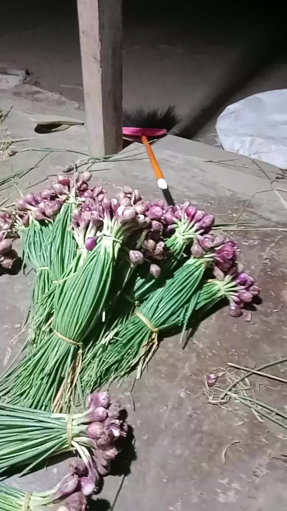 @juhairiyahjuhairi20