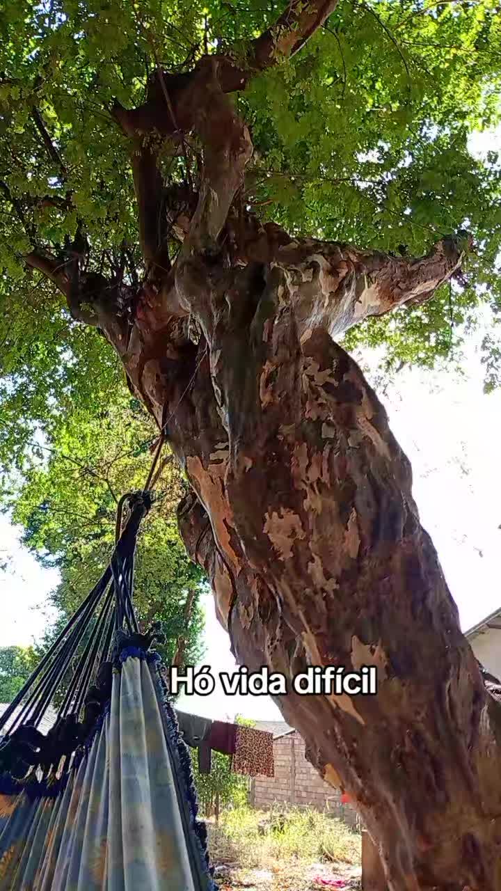 @Fábio Allan
