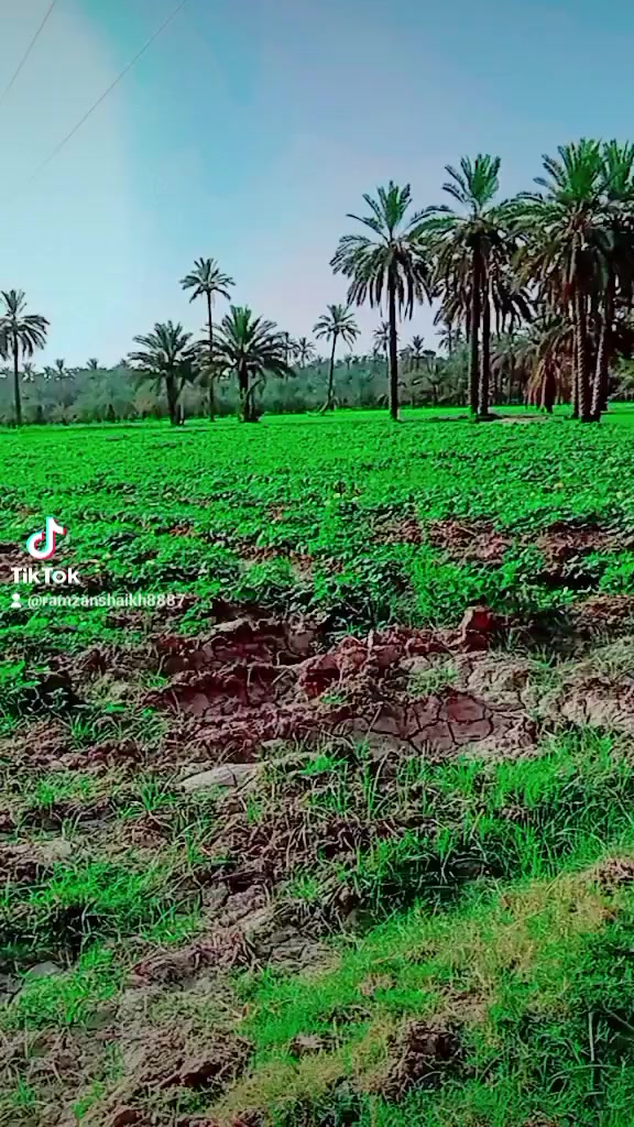 @Ramazn shaikh