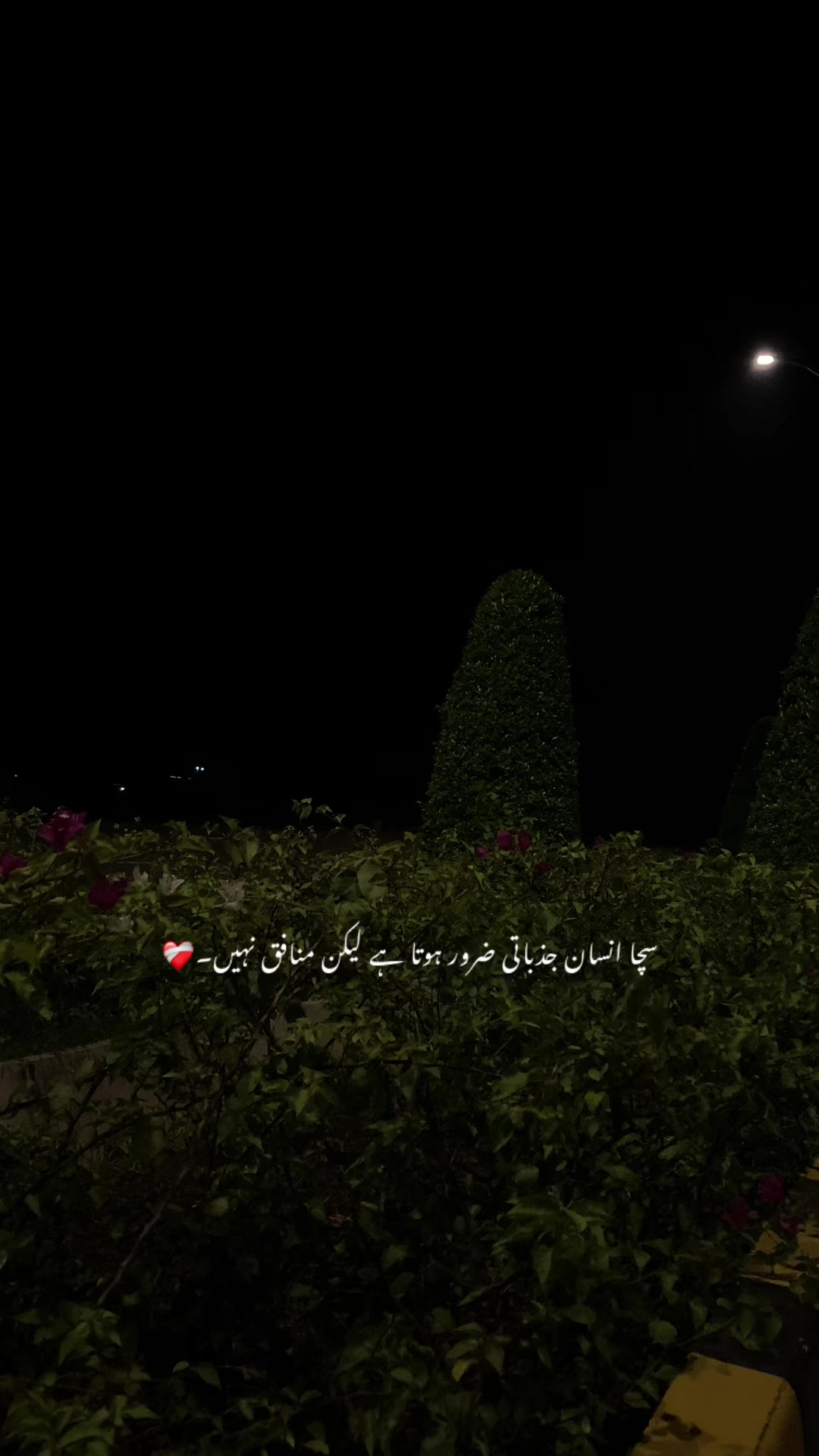@ع🩹❤️🩹