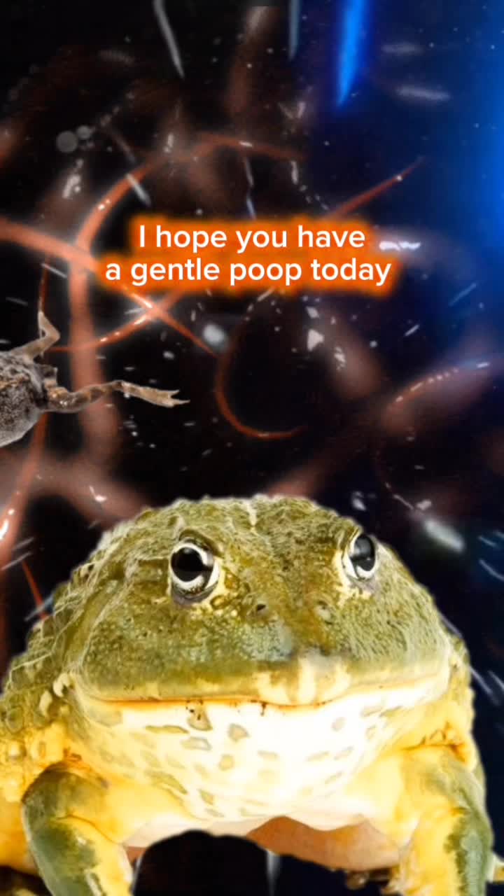 @frogs and autism