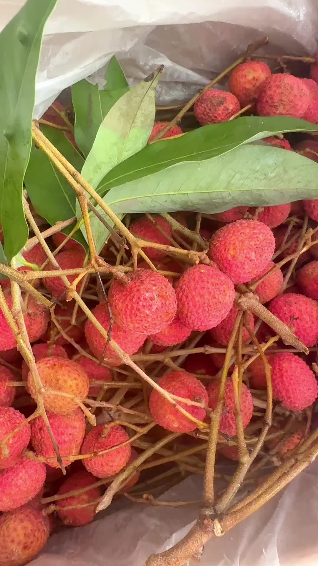 @SANDHYA 🇳🇵🕉️