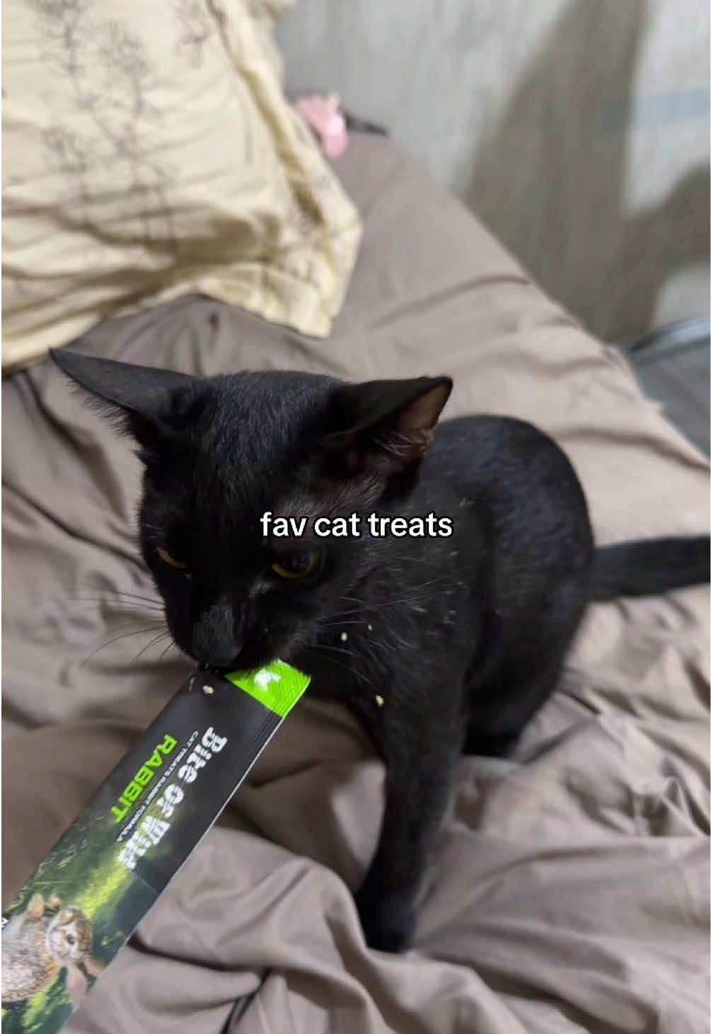 @cestyn