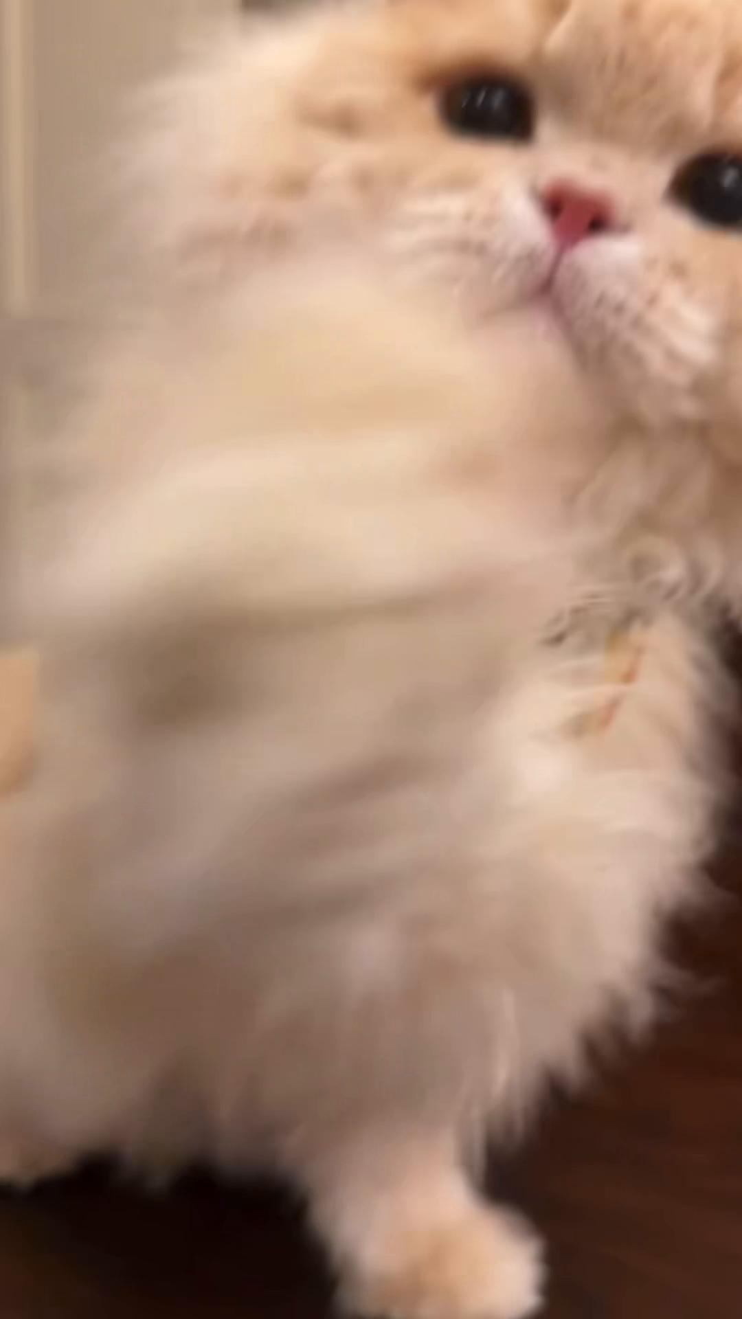 @My Daily Dose of Aww