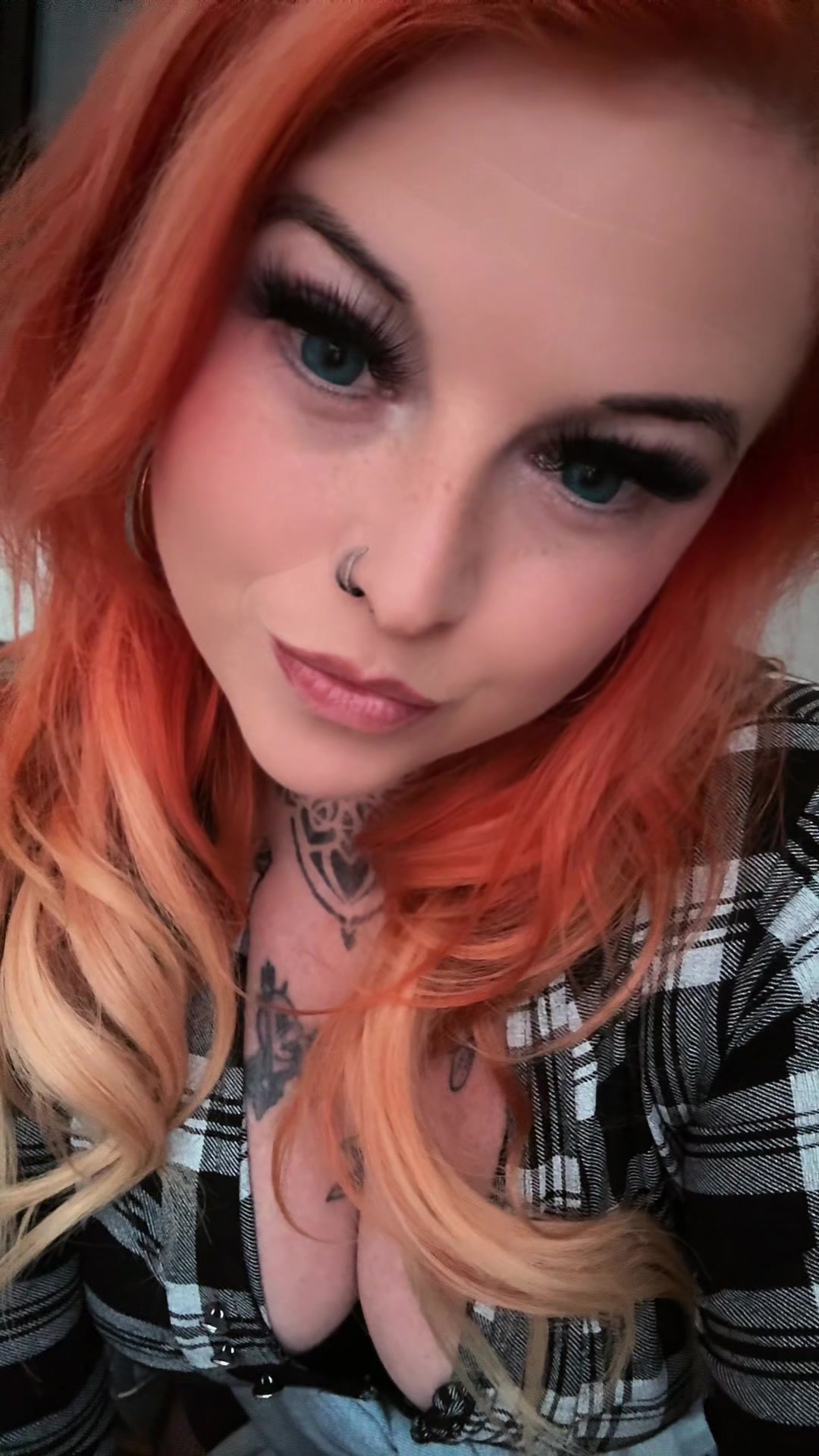 @Fynixia 🦊Fuchsi🦊