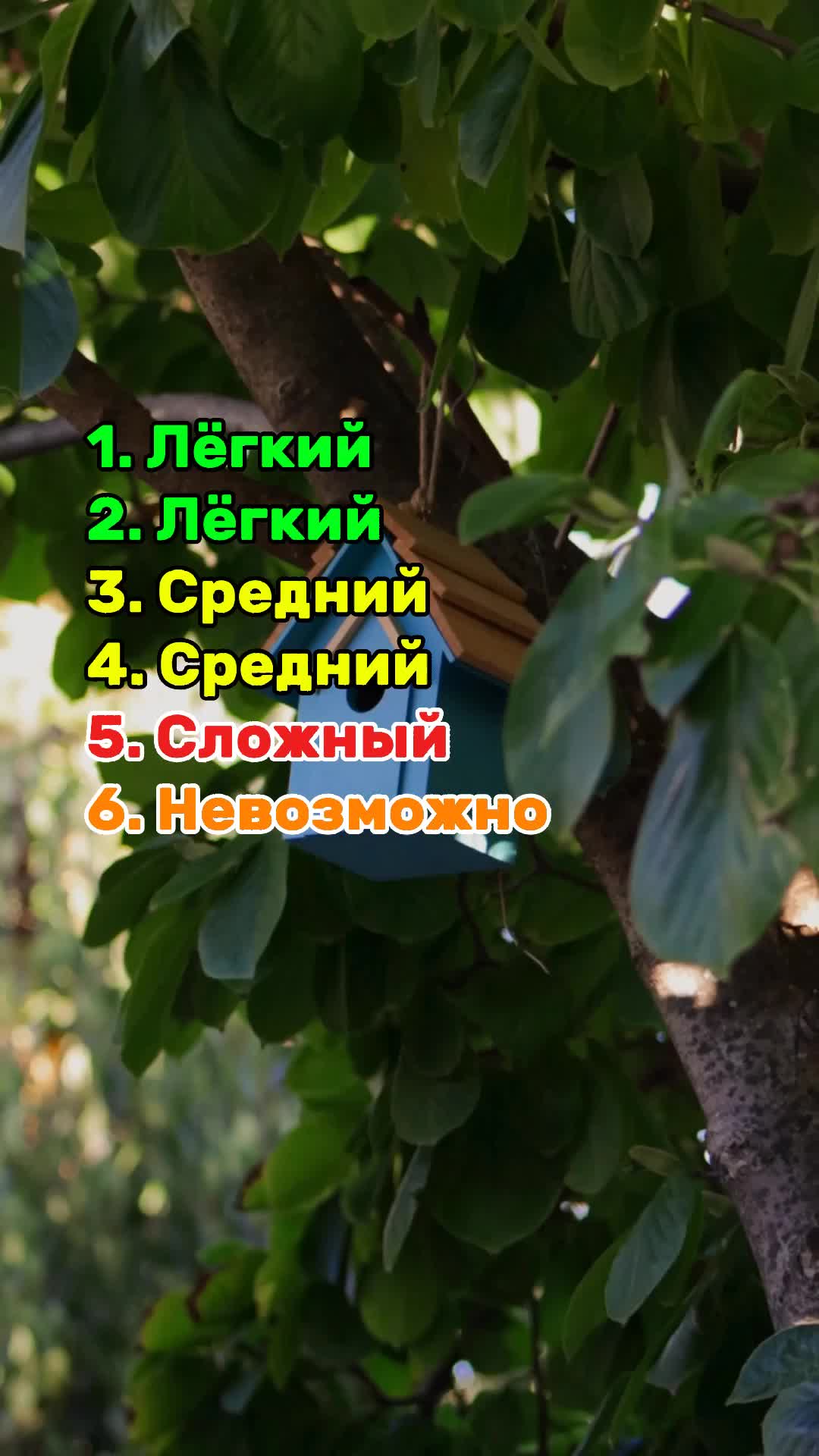 @Викторины и тесты 🤔