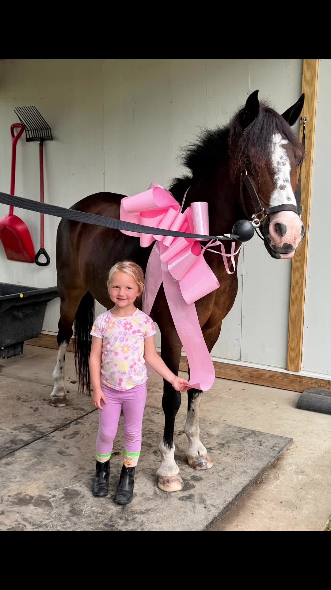 @NKEquestrian