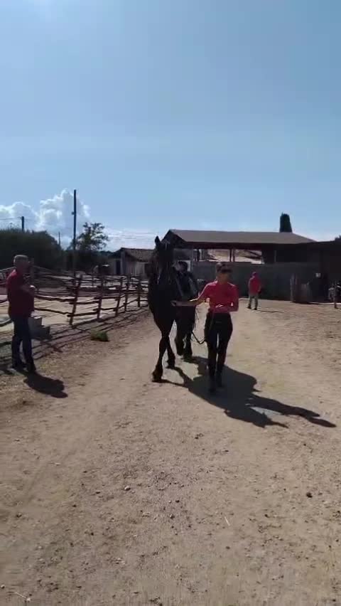 @DIFESA RANCH💥🐴🐴