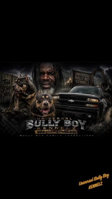 @BULLY BOY FAMILY PRODUCTIONS
