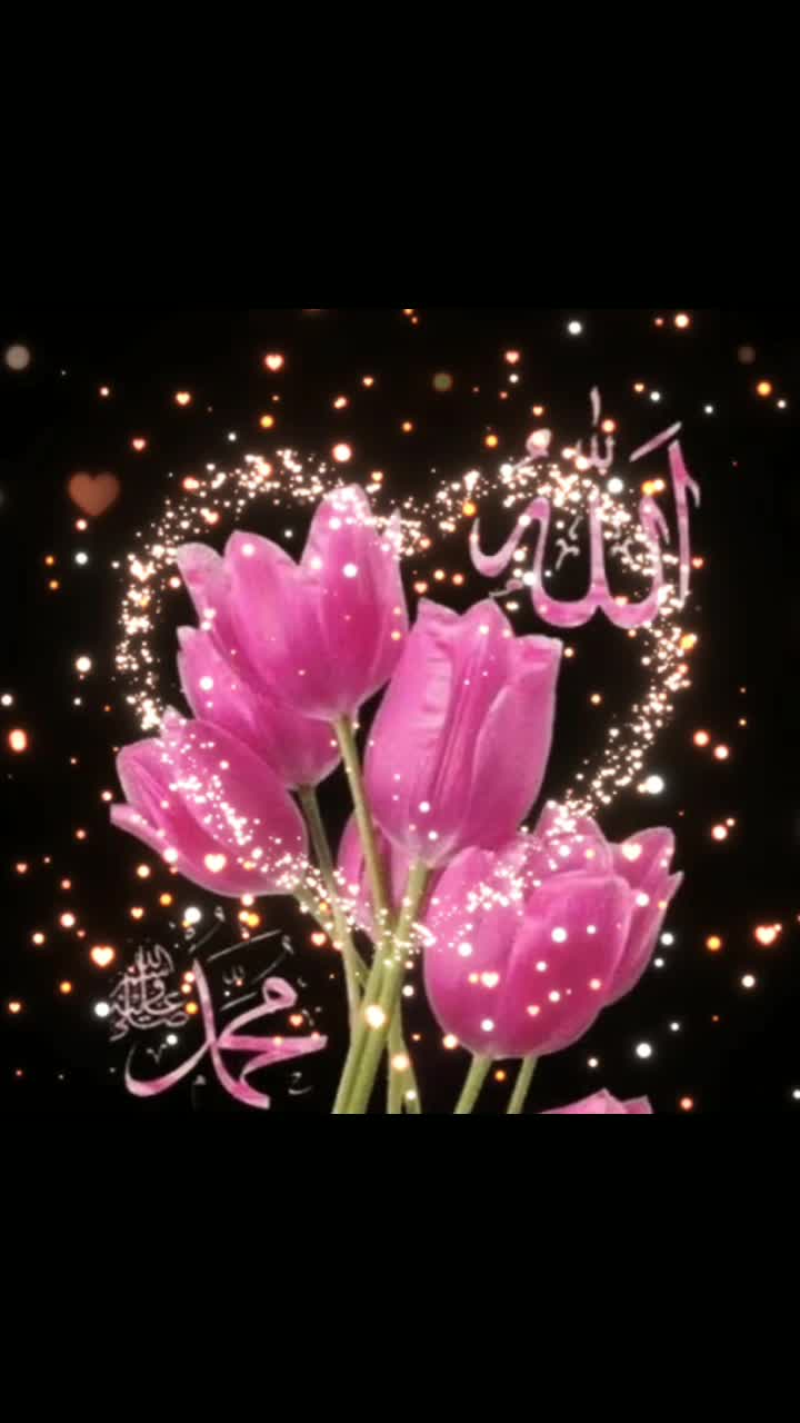 @🌸🕊️Hamba Allah🕊️🌸