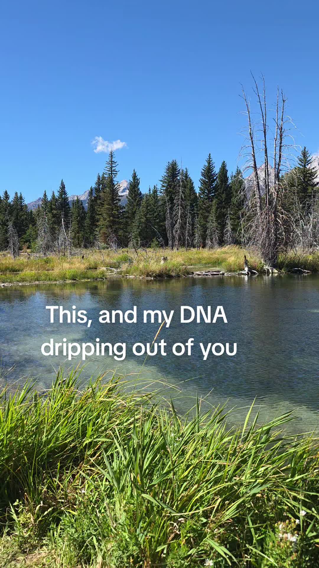 @The Unfiltered Adventurer