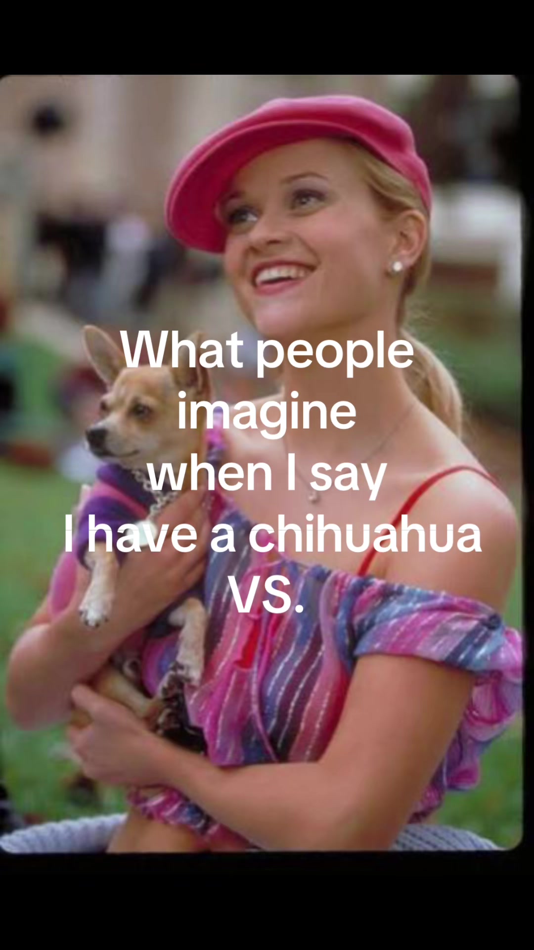 @loveschaos
