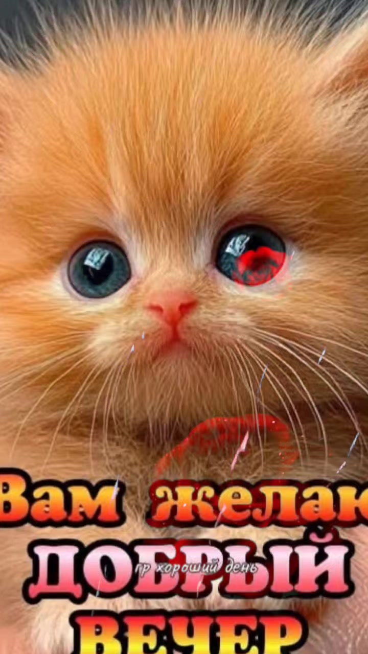 @Людмила