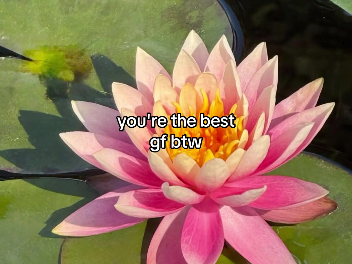 @flowercorrre