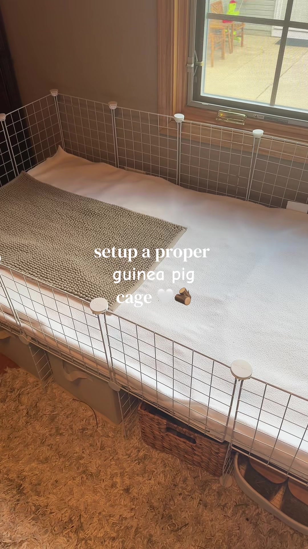 @alexa🤍🐾