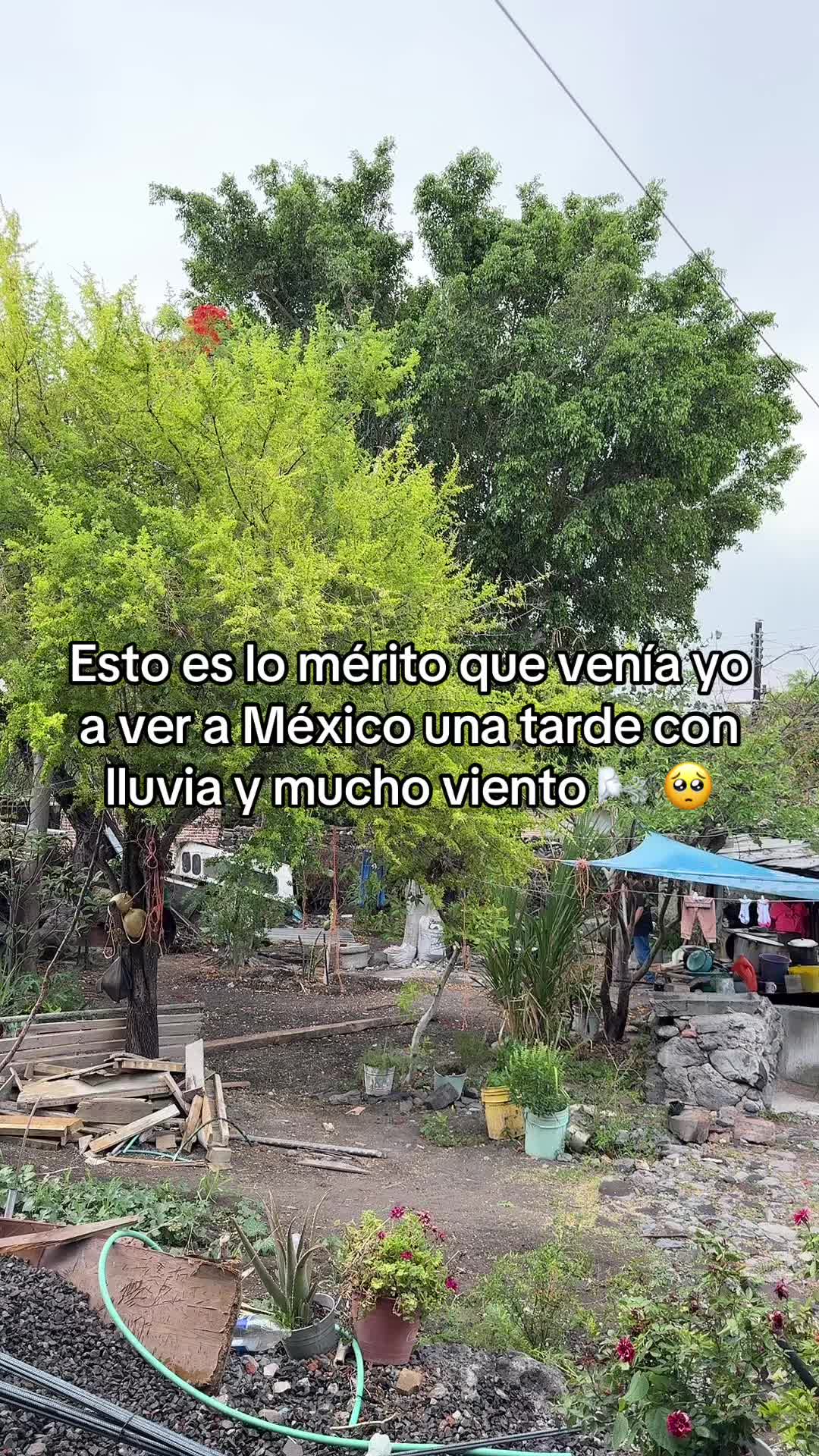 @Yesenia Forcado