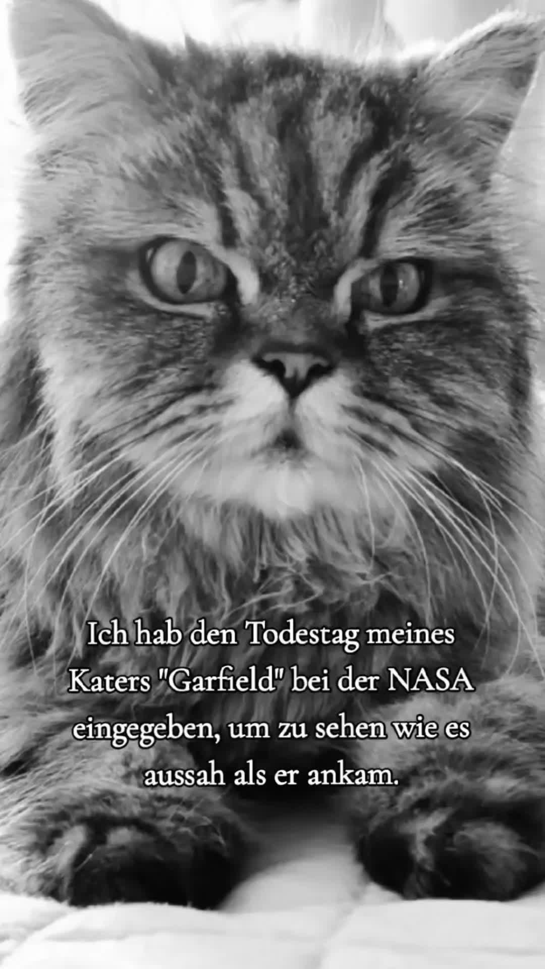@❤️Janet,Teddy und Blümchen❤️