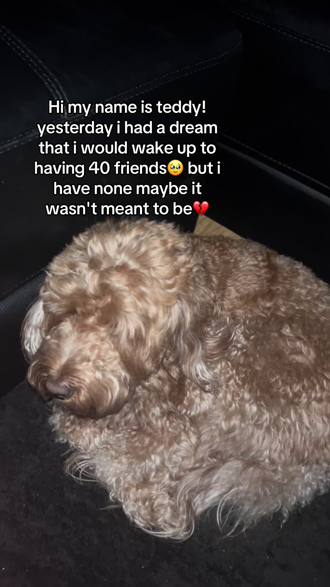 @Jojosfindzz