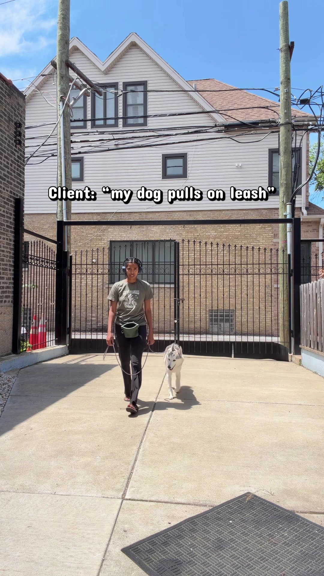 @dogstrainjen