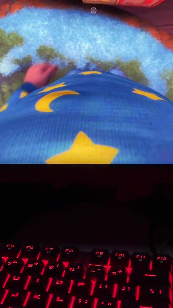 @LilHedghog