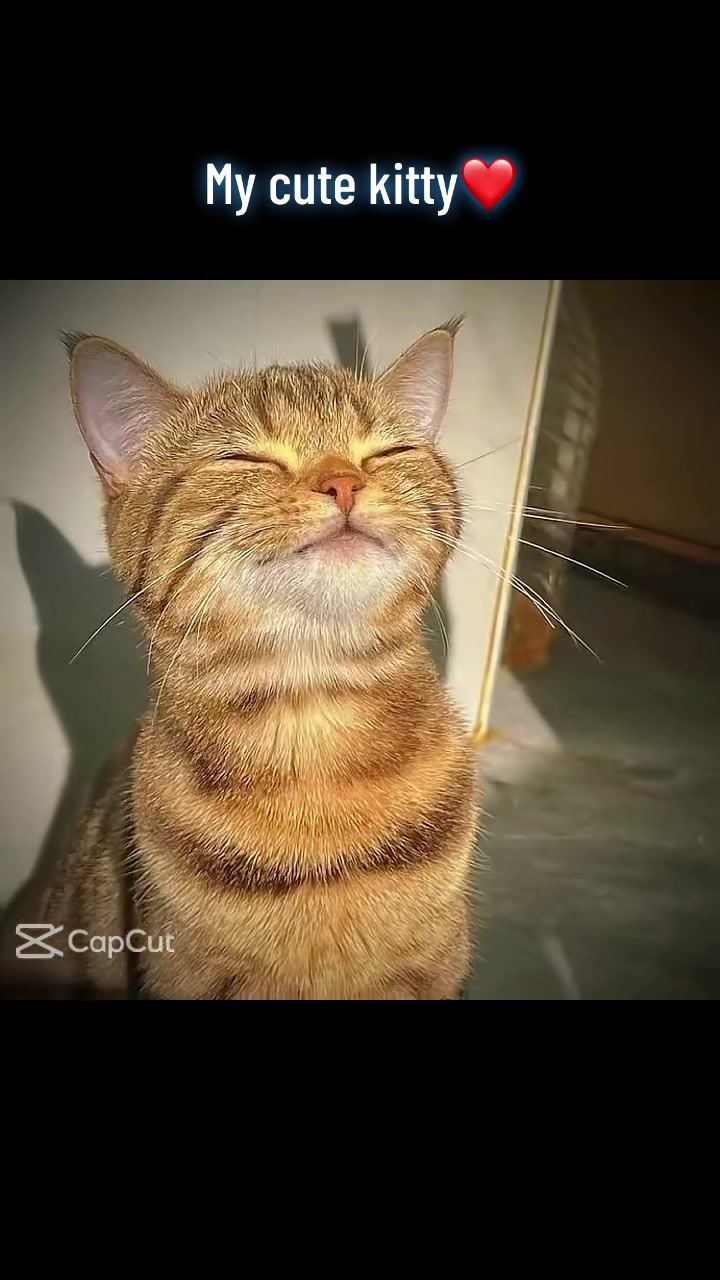 @๐๐๐พ๐ท๐ช๐ซ๐ต๐ธ๐๐