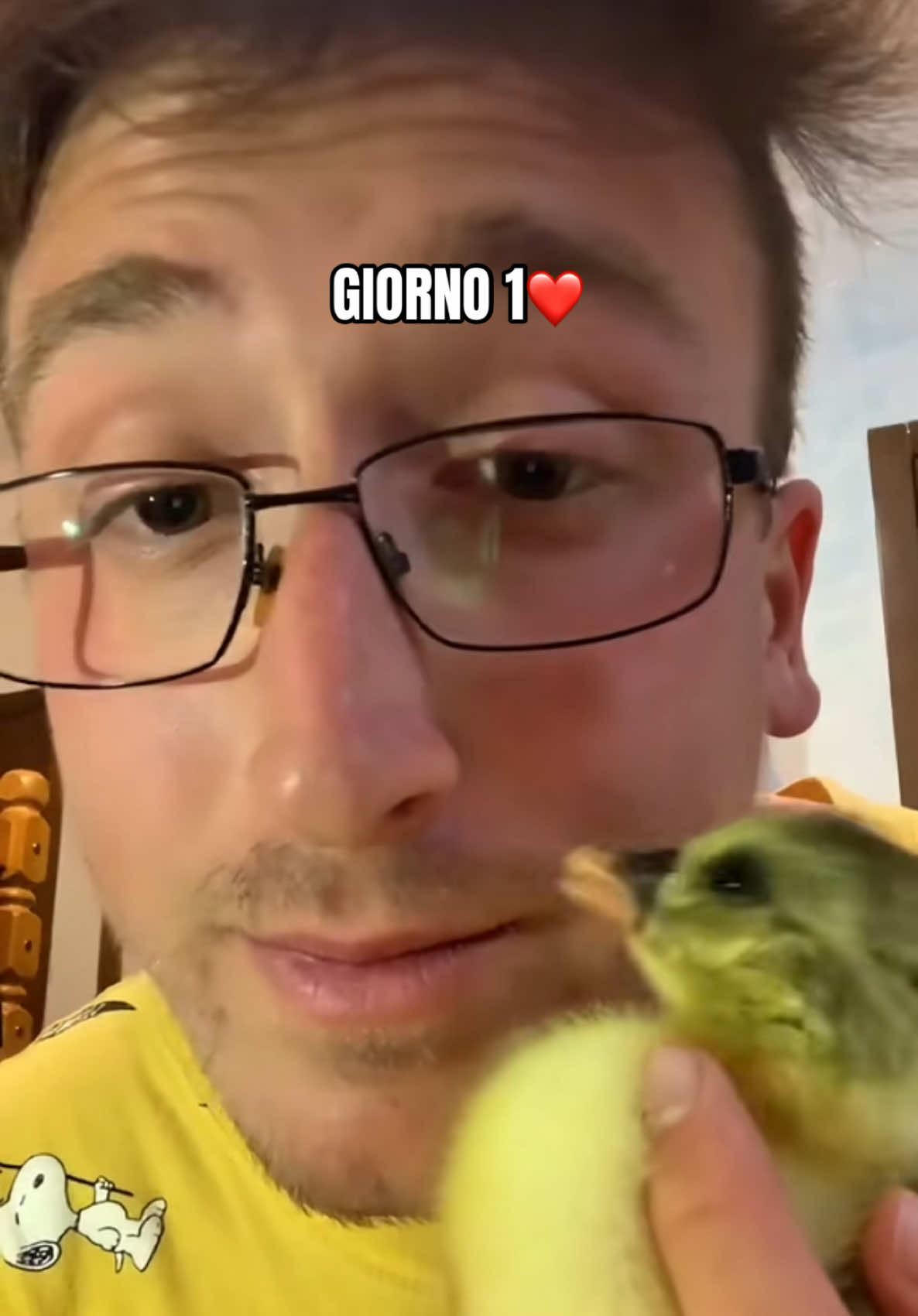 @AlbertoMaurizi