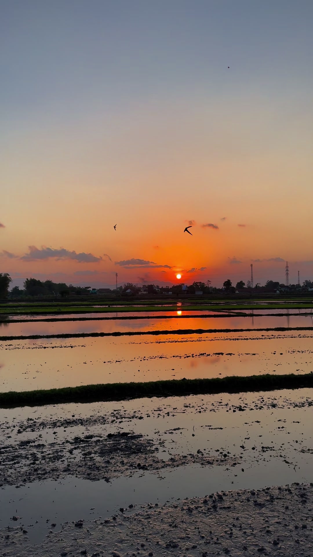 @Dapure Jengsri