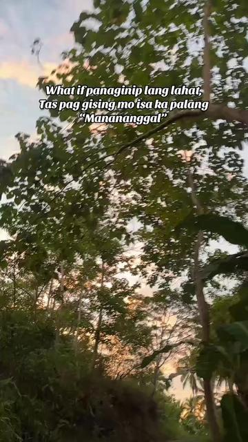 @Cille