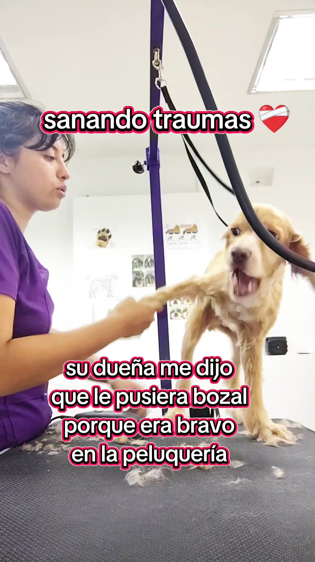 @✨ximenAragon✨