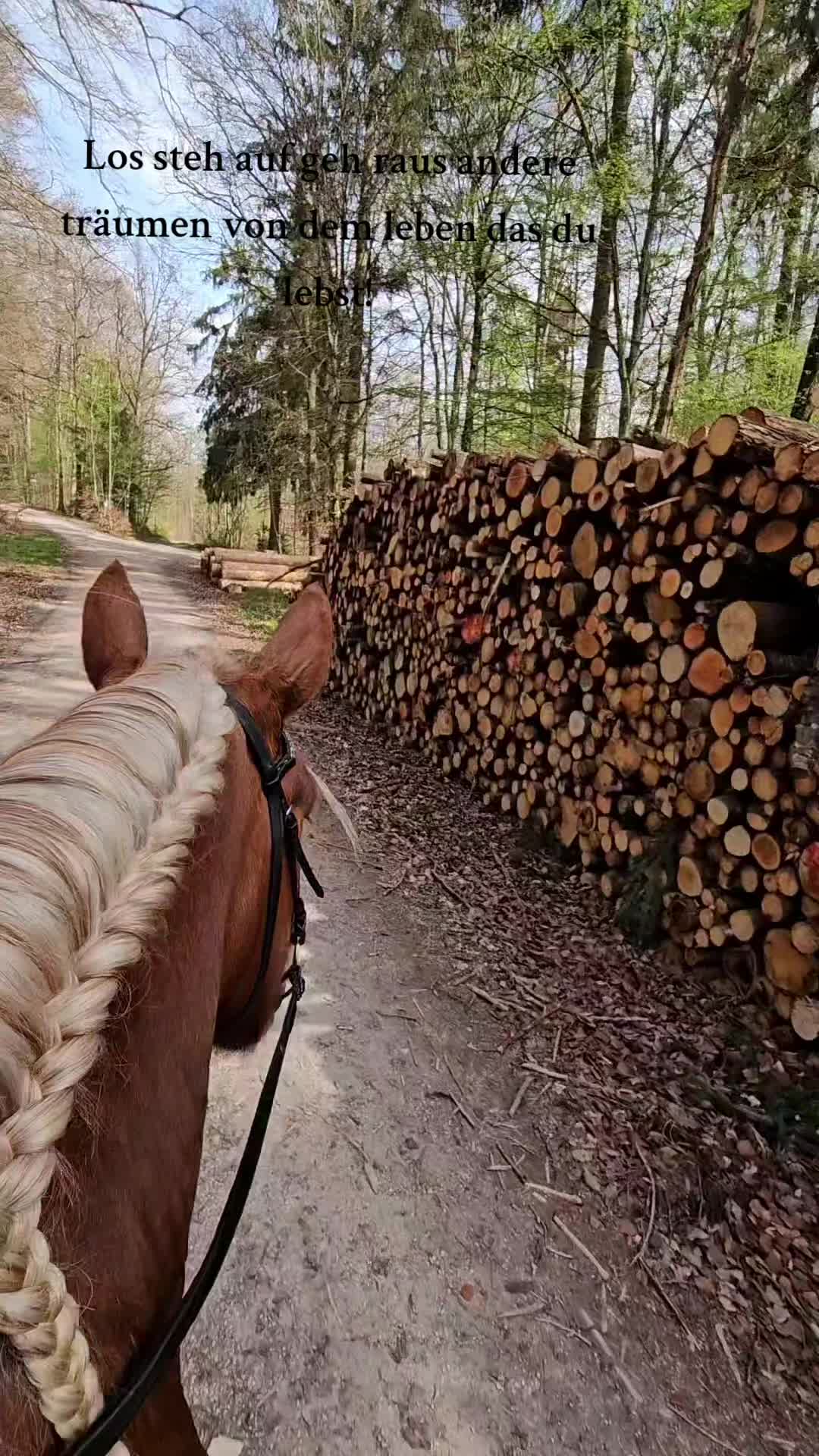 @Ani👩🏼🌾