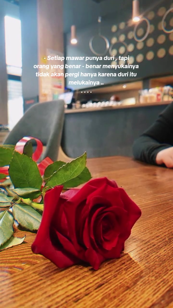 @ᏦᎧᏰᏋ ᥫ᭡