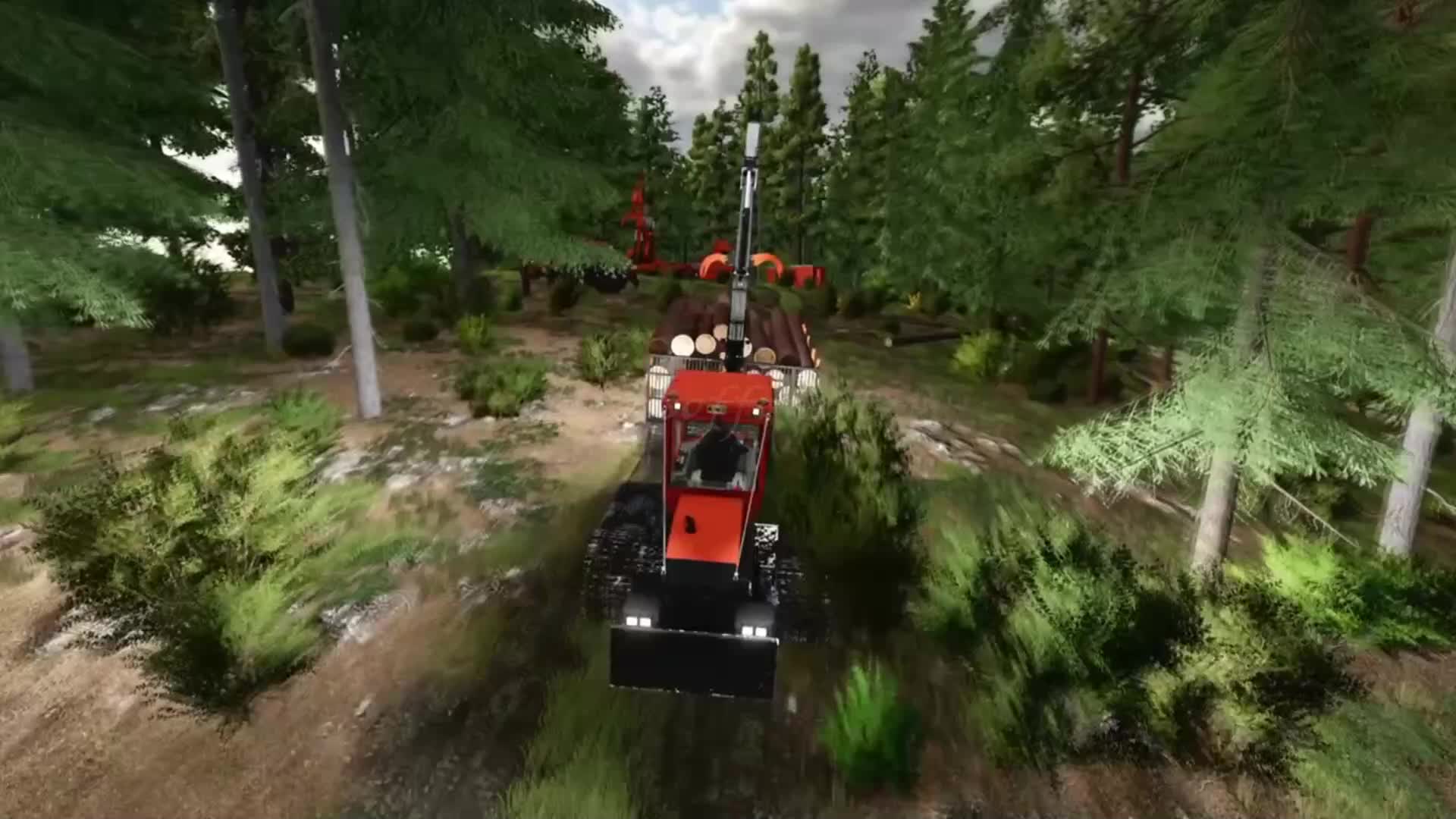 @SONS OF FORESTRY