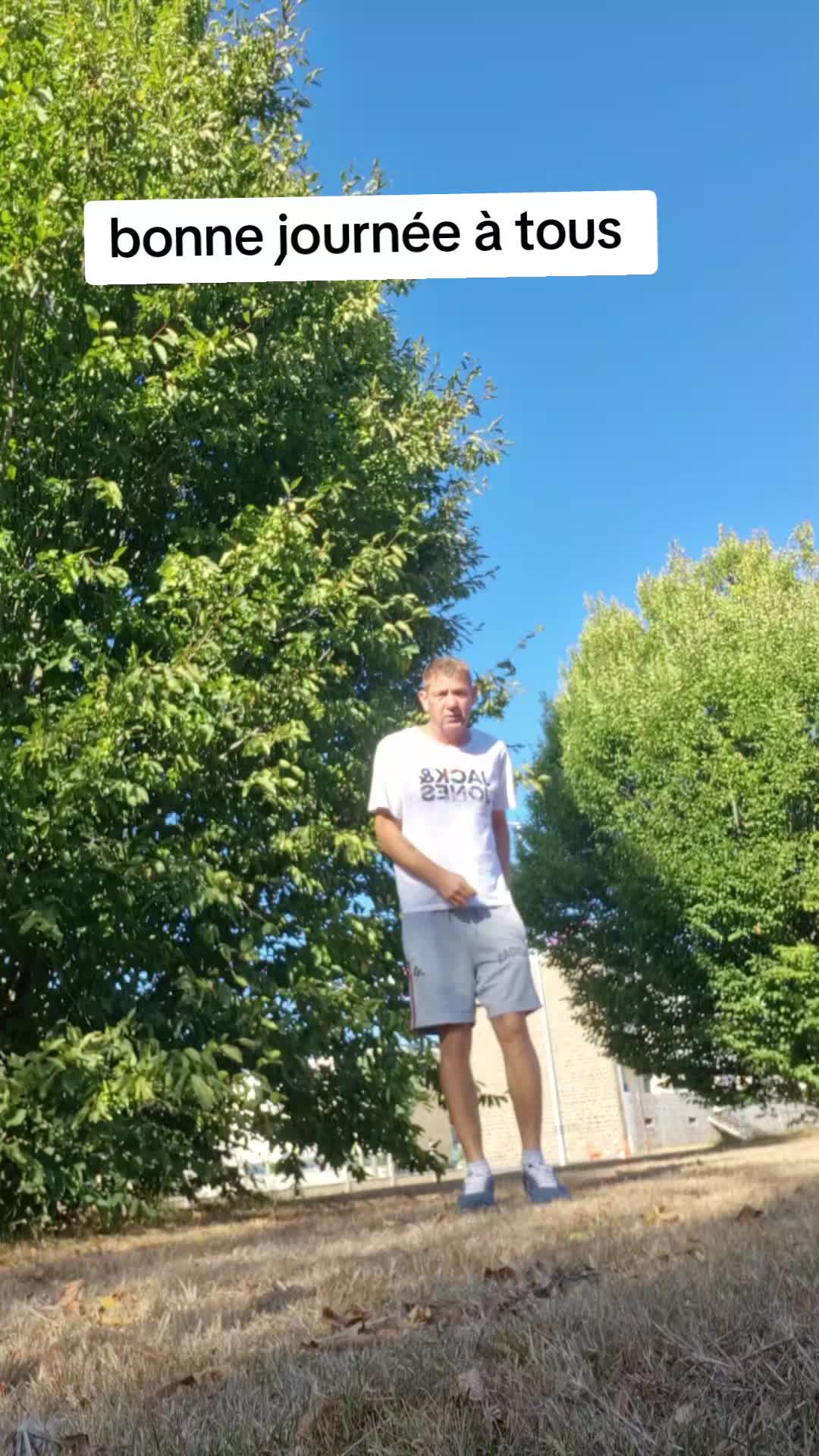 @Le ph&eacute;nix